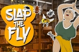 Slap The Fly