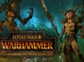 Total War: WARHAMMER – Realm of The Wood Elves (DLC)