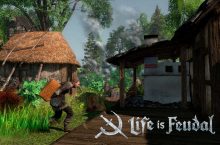 Life is Feudal: Forest Village