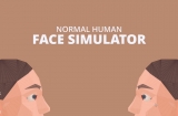 Normal Human Face Simulator